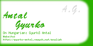 antal gyurko business card